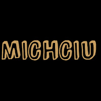 MICHCIU303