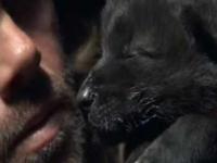 Wolfman uczy wyć małego wilka