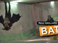 Rémi GAILLARD - Bat