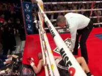 Boxing Knockouts Compilation - December 2014