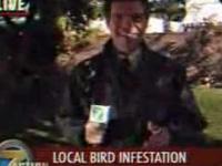 Reporter z ptasią kupą w ustach
