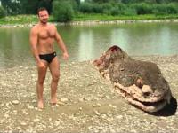 Giant Snake Captured in Poland
