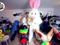 Follow The Rabbit TV - Harlem Shake