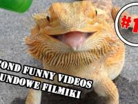 Second Funny Videos #10 - Best Fail Compilations by Sekundowe Filmiki
