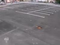 Wypadek na pustym parkingu