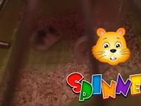 Spinner - the world's fastest hamster