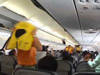 Cikawy pokaz w samolocie-wesja dla kobiet