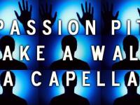 Passion Pit - Take spacer A capella
