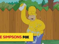 Homer Simpson bierze udział w Ice Bucket Challenge