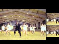 PSY ft Ghostbusters - Gangnam Busters