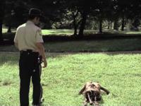 The Walking Dead - Visual Effects