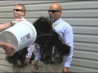 The SECOND Official Ultra-Ever Dry Video - Superhydrophobic coating -...
