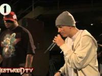 najlepszy freestyle Eminema