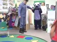 Wejście pandy w przedszkolu