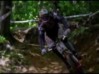 Extreme Freeride and Downhill - Seasons (The Collective) 