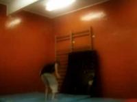 One day wallflip training ( gym )
