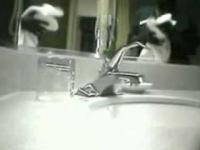 Jak myje się szklanki w hotelach.