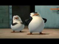 Pingwiny o Hipisach