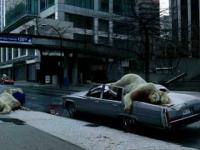 Deszcz martwych niedźwiedzi polarnych!