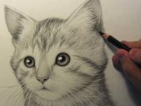 Timelapse z rysowania słodkiego kotka