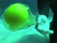 Jajko pod wodą 