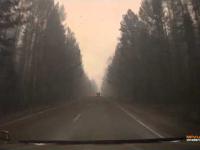 Przejazd samochodem przez płonący las