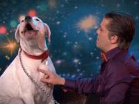 Dog sings Whitney Houston | Belgium's Got Talent | VTM