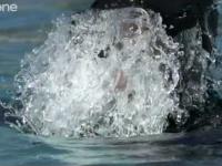 Niewiarygodny mężczyzna wytrzymał 9 minut pod wodą 