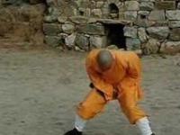 mnisi z Shaolin ćwiczą 