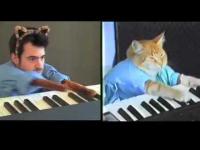 Ron Livingston naśladuję kota od keyboarda