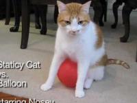 Staticy Cat vs. Balloon 