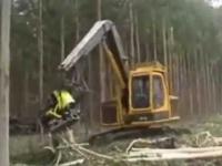 Niewiarygodna maszyna do wycinki drzew 