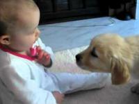 Adorable baby Spełnia Puppy
