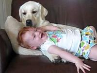 Opiekuńczy pies i dziecko