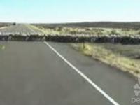 Czemu owce przechodzą przez ulicę?