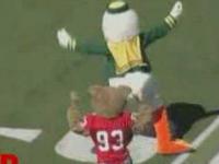 Duck and Cougar Mascot Beatdown