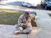 Powrót żołnierza do domu i reakcja psa