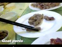 Chińczycy jedzą penisy