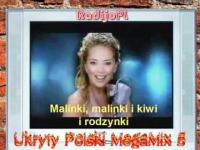 Ukryty Polski MegaMix 5