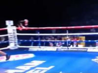 Boxing Knockouts Compilation - October 2014