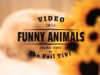 Funny Animals - Co tu się dzieje #2