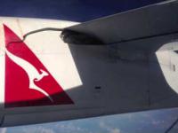 Pyton leci na gape na skrzydle samolotu