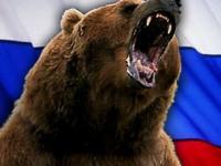 Możliwe tylko w Rosji - Kompilacja niedźwiedzi