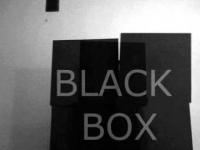 Shao - Black Box Manipulation