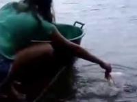 Łowienie piranii w Amazonce
