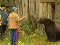 Ruska odwaga przed  niedźwiedziem