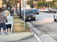 Policjant zabił psa na oczach właściciela