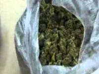 3 kg marihuany znalezione w domu kibola