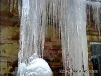 The icicles