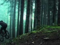 Freeride in Forest